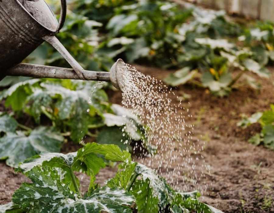 Gartenkonzepte – Ein kurzer Überblick