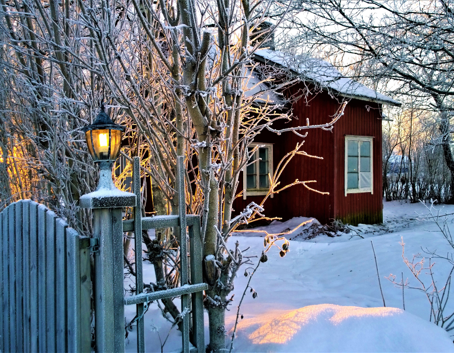 HOWTARK Gartenarbeit im Januar