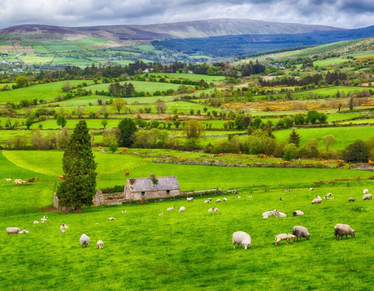 HOWTARK Auswandern Irland