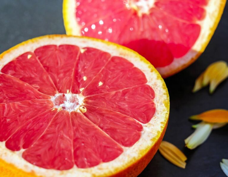 HOWTARK Grapefruitkernextrakt