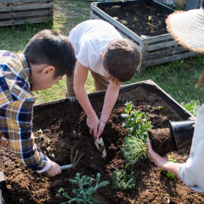 HOWTARK Urban Gardening Gemeinschaftsgarten_