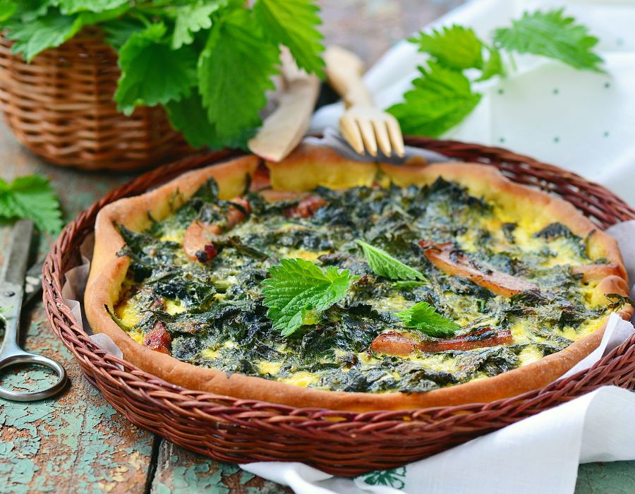HOWTARK Brennnessel-Quiche