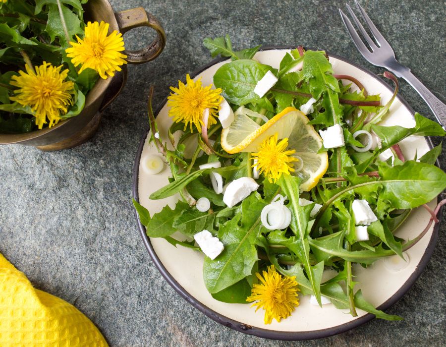 HOWTARK Wildkräutersalat
