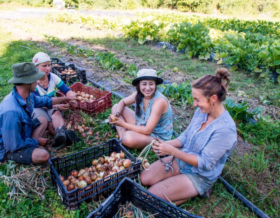 HOWTARK Autark leben für Anfänger Gemeinschaft bilden