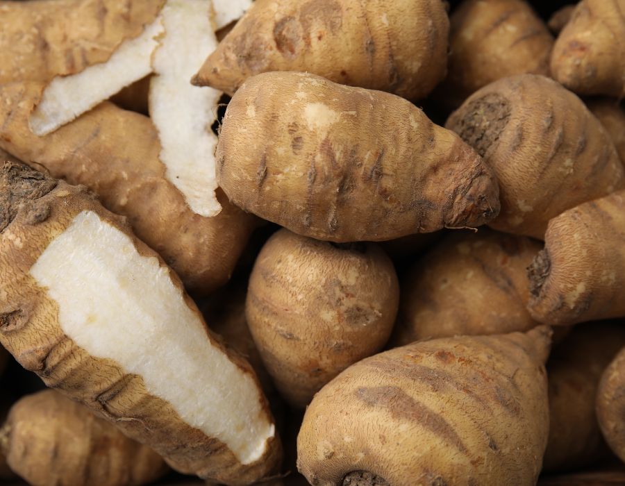 HOWTARK Wintergemüse November Kerbelrübe