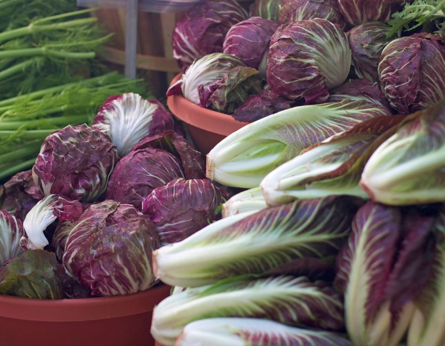 HOWTARK Wintergemüse November Radicchio