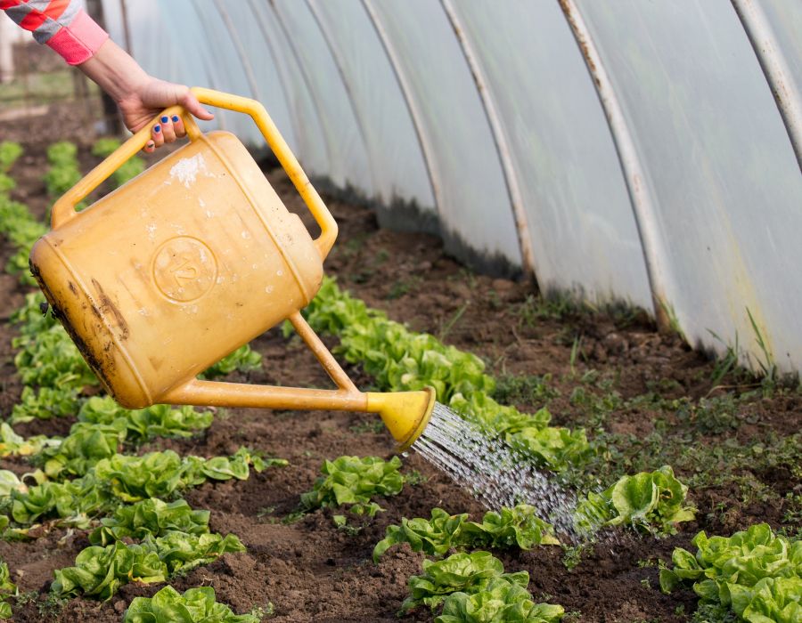 HOWTARK Gewächshaus im Winter_1